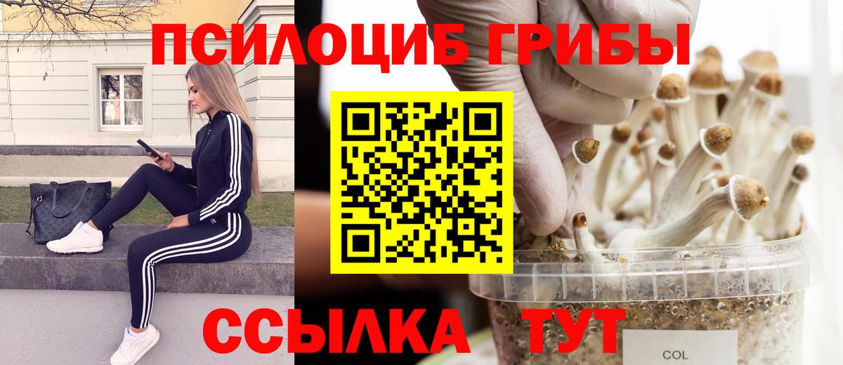 Галлюциногенные грибы прущие грибы Феодосия